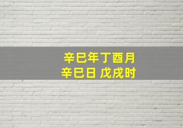 辛巳年丁酉月辛巳日 戊戌时